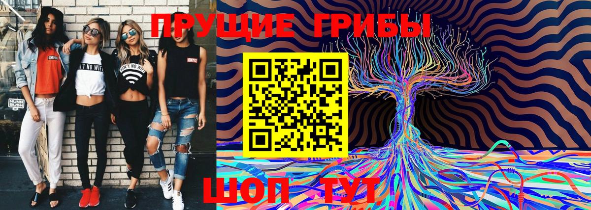 Галлюциногенные грибы ЛСД  Вход с VPN  Егорьевск  Галлюциногенные грибы Psilocybe 